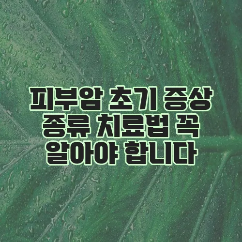 피부암 초기 증상 종류 치료법 꼭 알아야 합니다