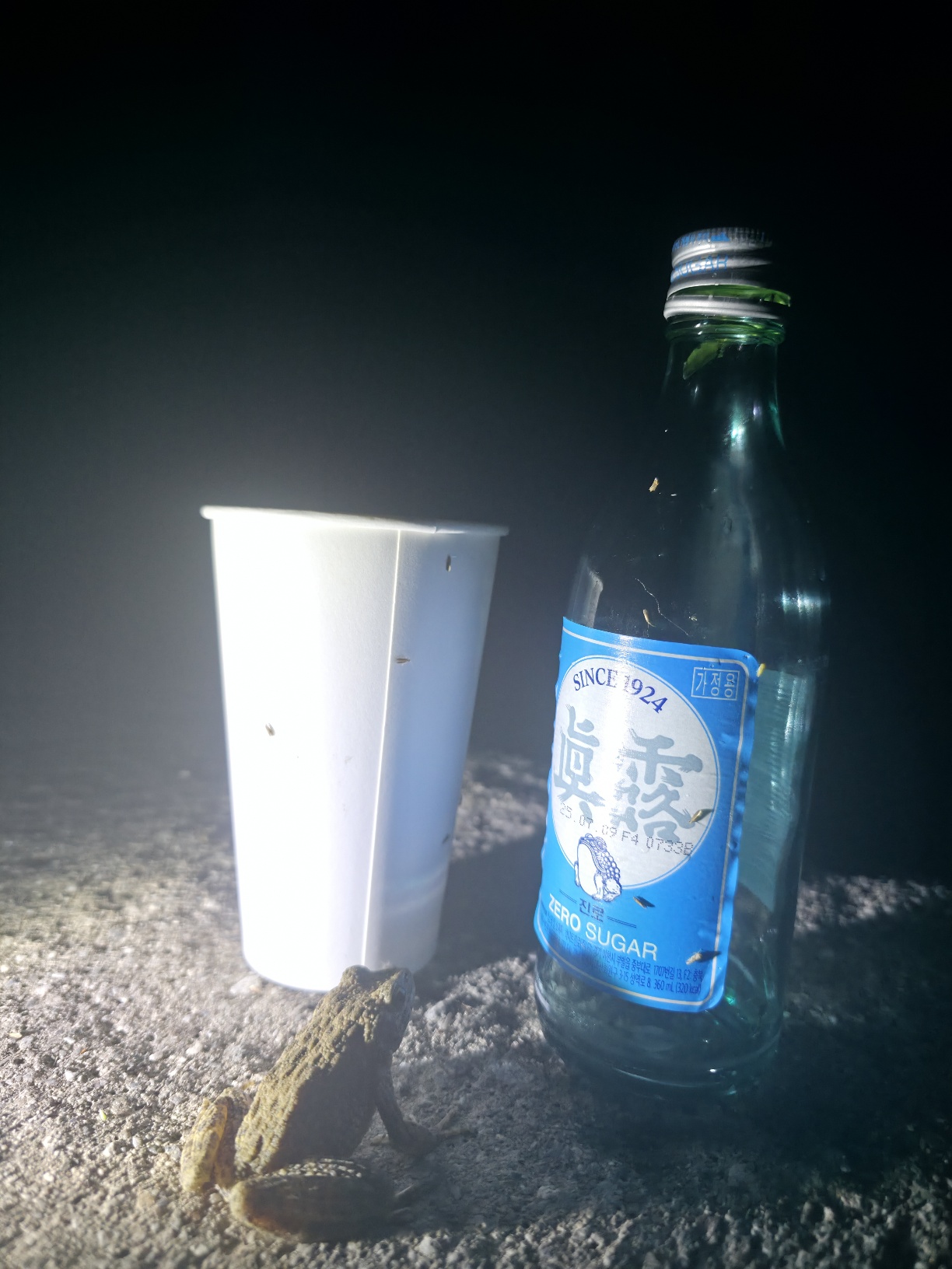 두꺼비와 개구리