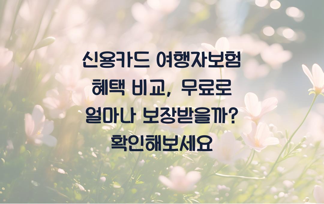 신용카드 여행자보험 혜택 비교 – 무료 보험으로 얼마나 보장받을까?