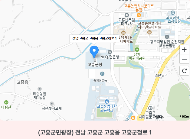 고흥 녹동항 드론쇼