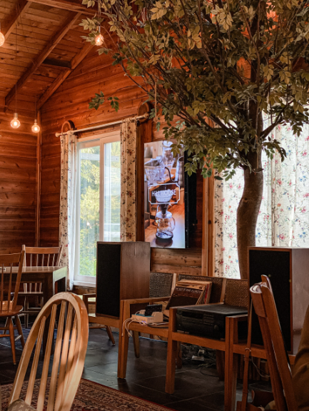 생생정보 텍사스식바베큐 바비큐밀키트 경기도 고양시 힐하우스 커피&amp;바베큐