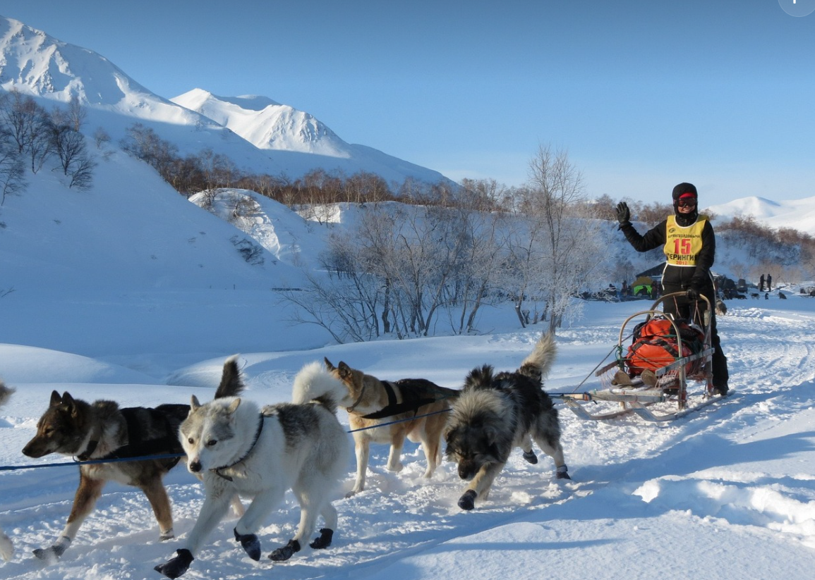 겨울에 즐길 수 있는 이색 스포츠 BEST 3