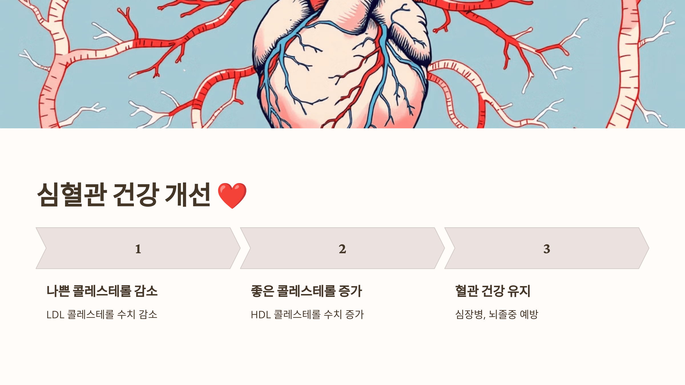 오메가3와 관련된 사진입니다.