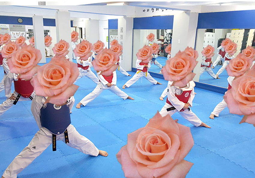 꽃보다 태권도 장미(Rose)