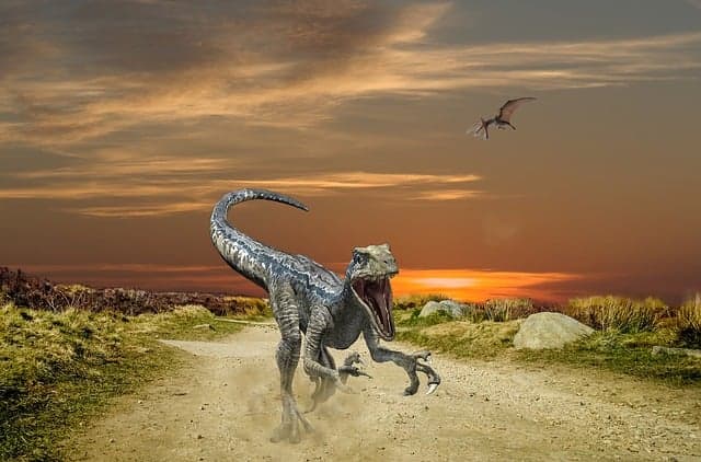 닭은 진짜 공룡의 후손일까? 진화론으로 본 닭의 과거