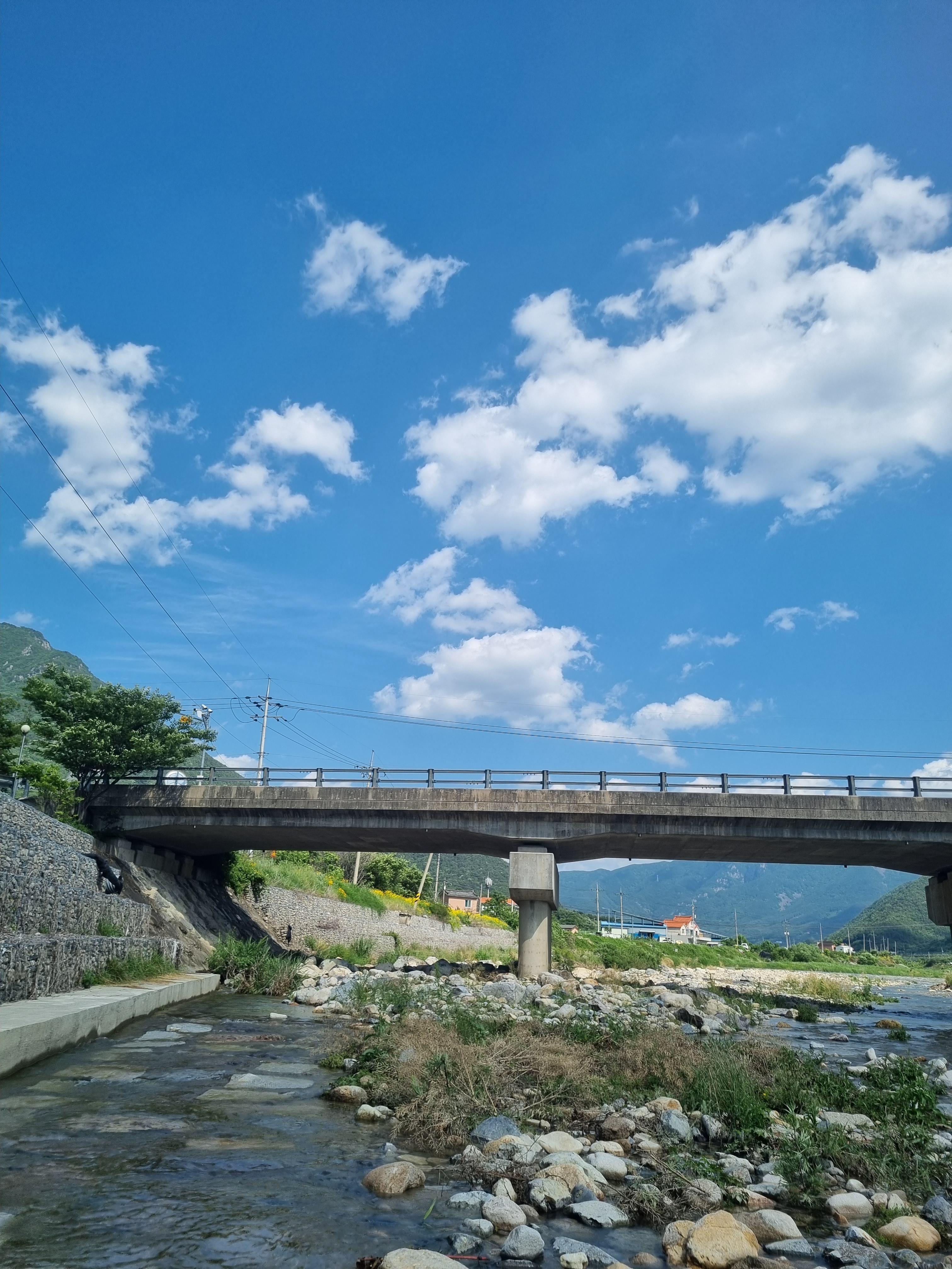 아이비캠핑장