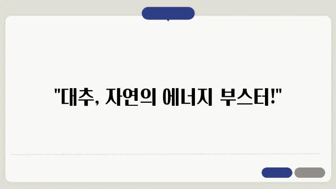 대추 효능: 면역력 강화와 피로 회복 총정리