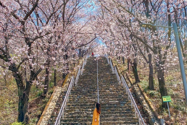 침산공원계단