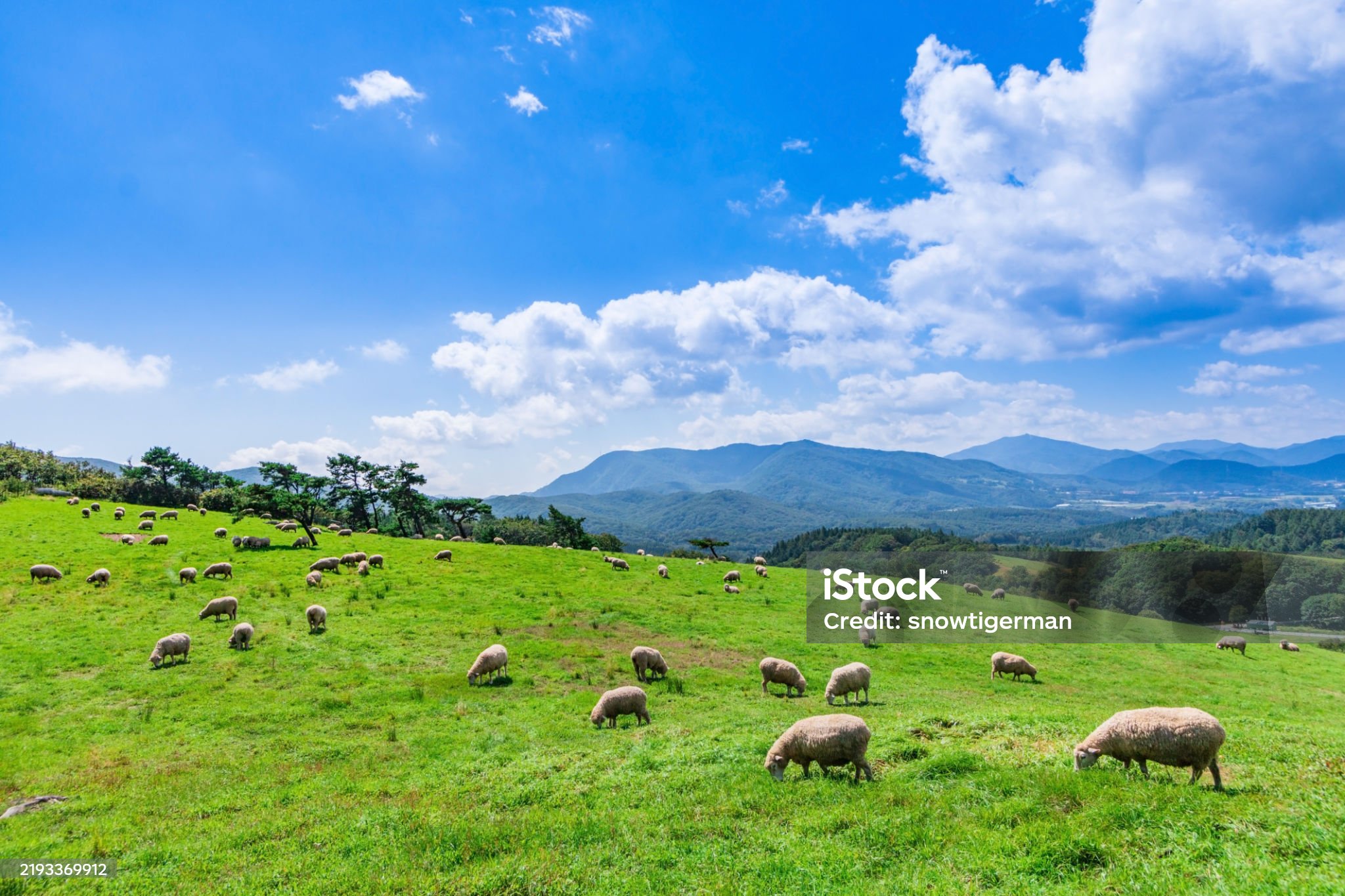 강원도 여행 - 평창