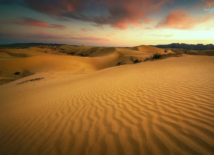 고비 사막 관련 사진