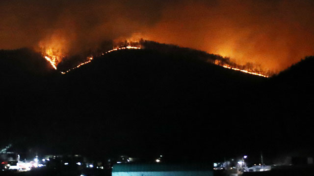 산불피해 기부 산불기부처 세액공제 답례품