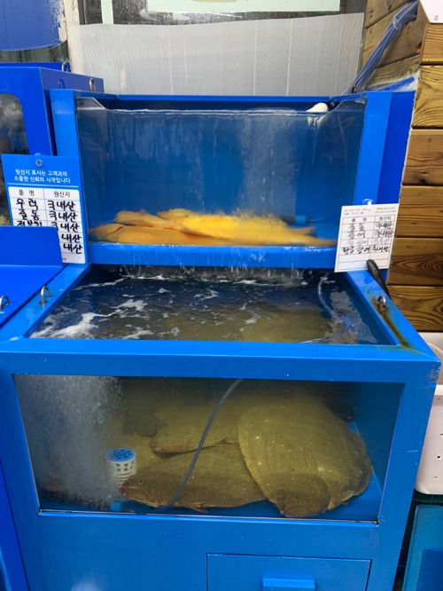 바다회사랑