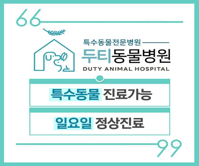 두티동물병원