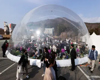 강진 청자 축제_3