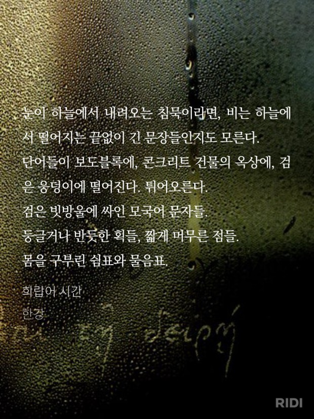 희랍어 시간 책 사진