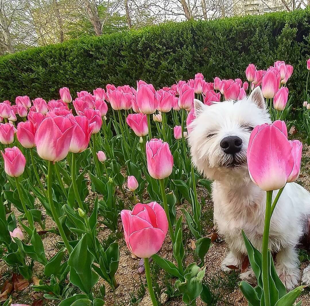 평촌 중앙공원 &amp;#39;23 알뜰나눔장터 개시 4월 22일