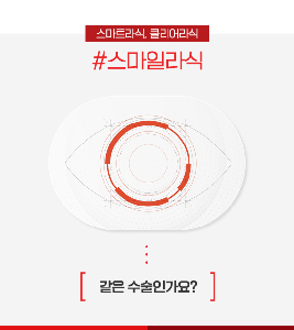 스마트라섹