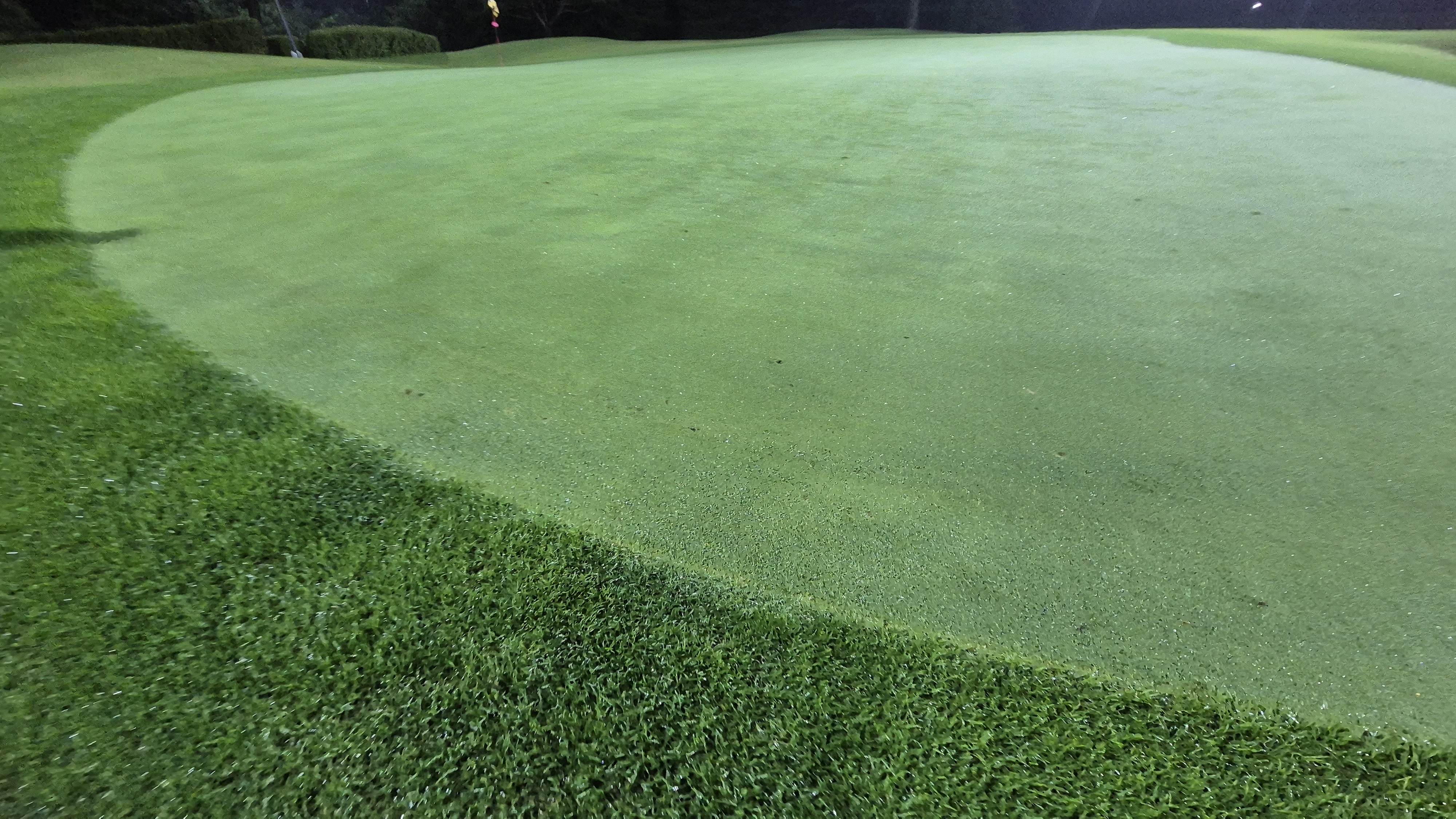 블루원용인cc 그린 관리 상태