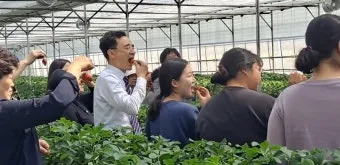 농업 교육 수강 농업기술센터 온라인 강좌 자격증 실습 정보_5