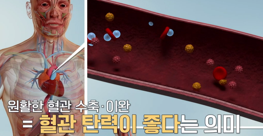 아르기닌의 효능