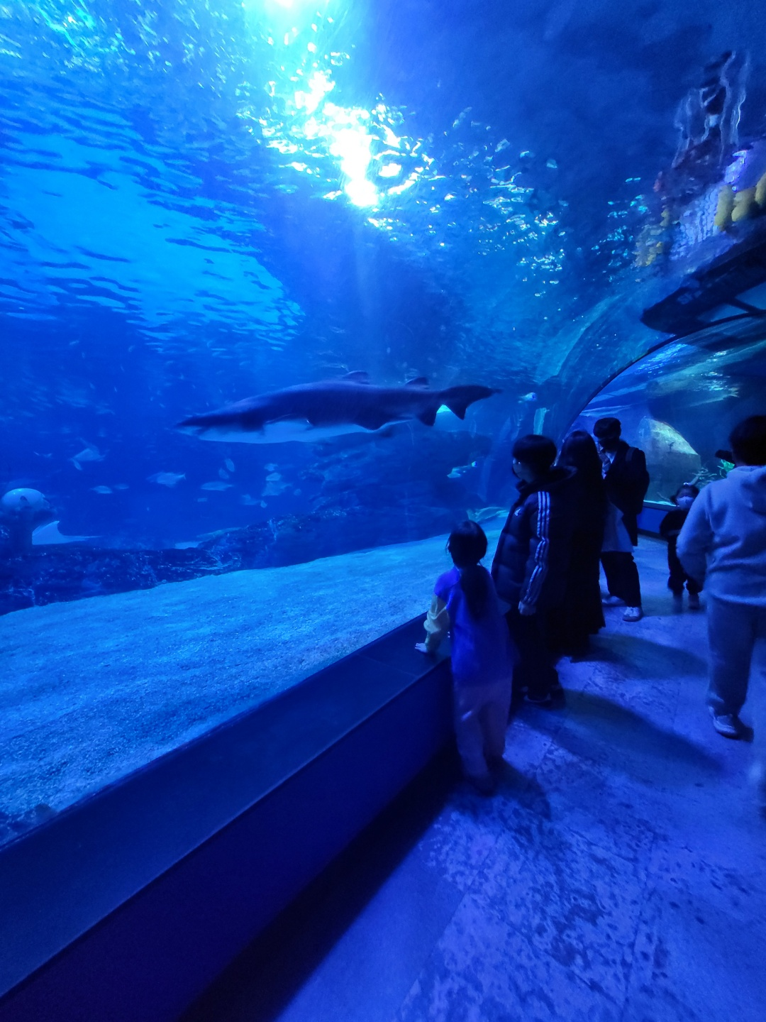 부산 아쿠아리움