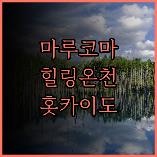 마루코마 온센 료칸 접근성은 잊게 만