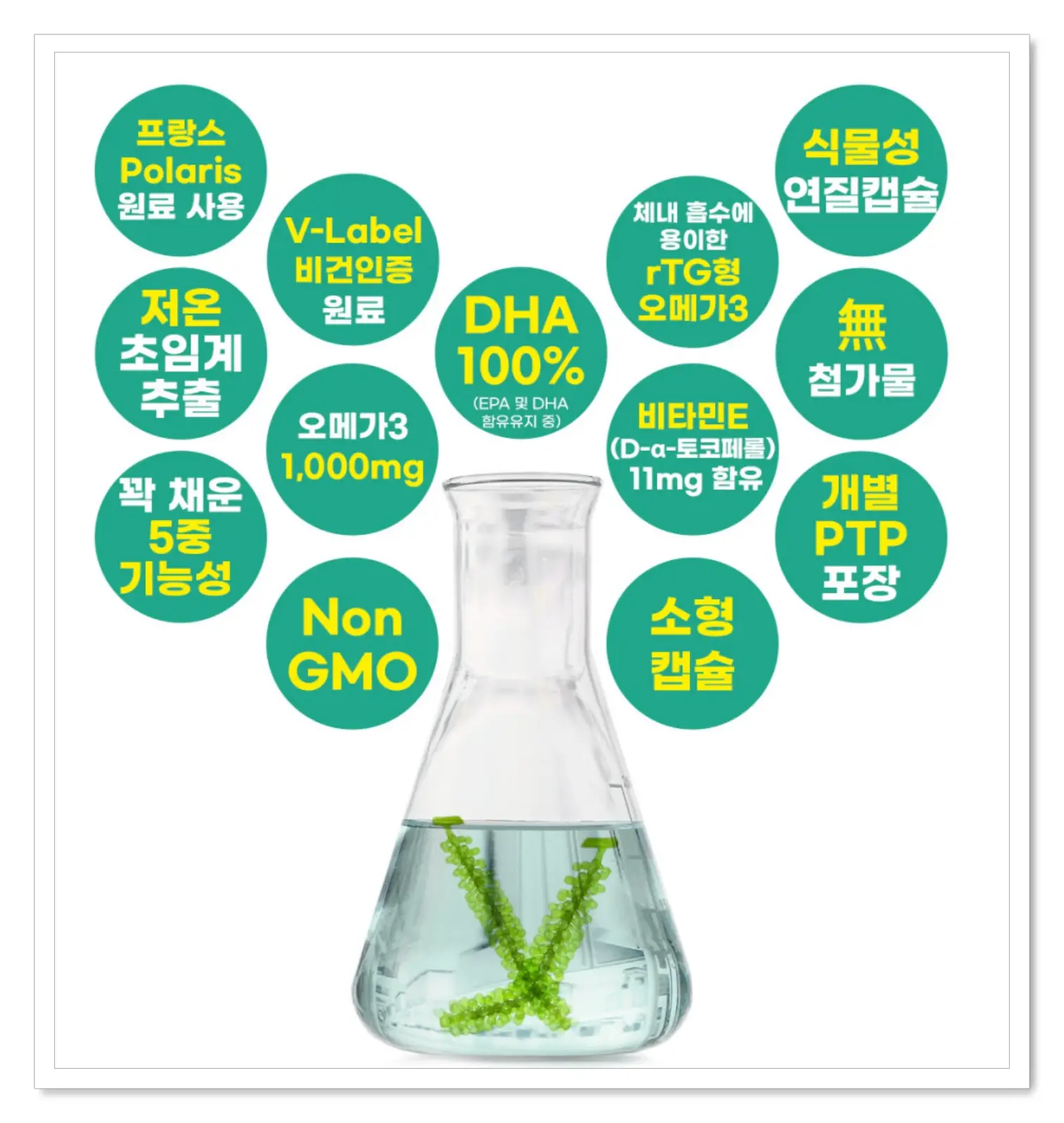 포뉴 오메가3 후기