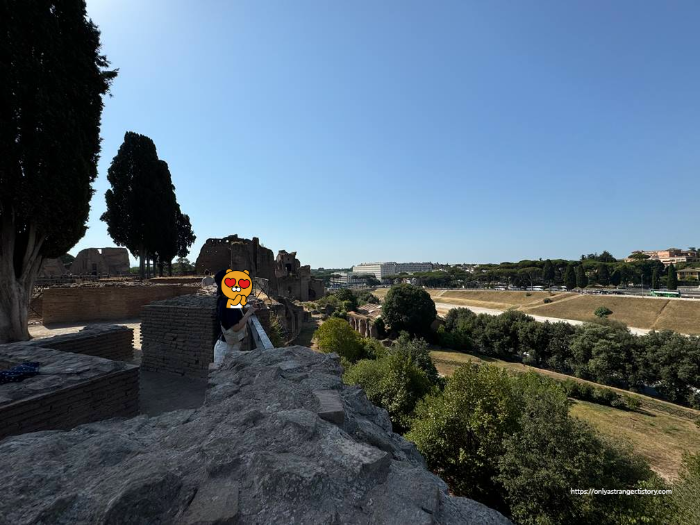 팔란티노 언덕에서 키르쿠스 막시무스