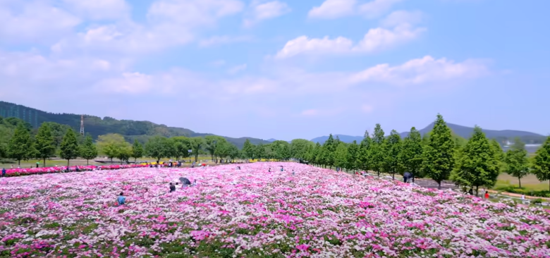 합천-핫들생태공원