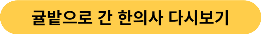 귤밭으로 간 한의사 다시보기