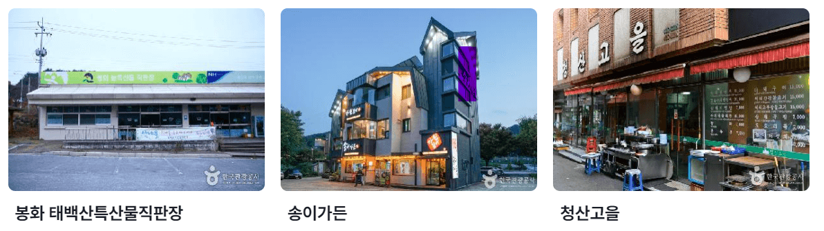 5월 여행하기 좋은 경상북도, 축제 일정 가볼만한 곳 추천