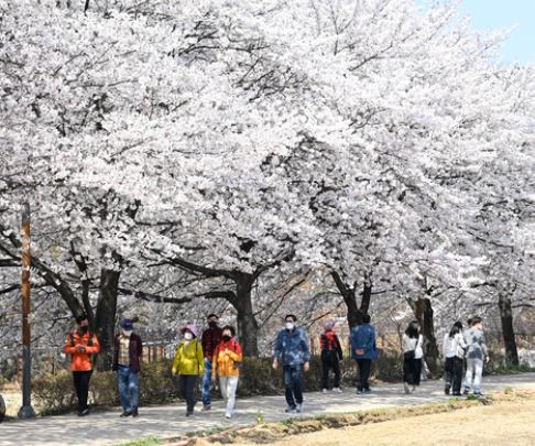 대구 달성