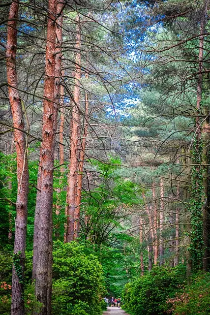서울대 안양수목원 예약