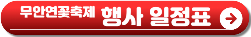 무안연꽃축제
