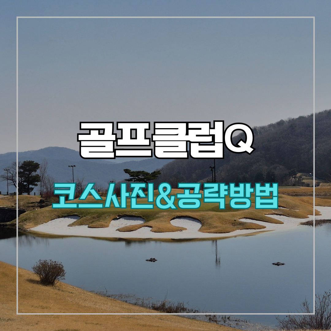골프클럽Q