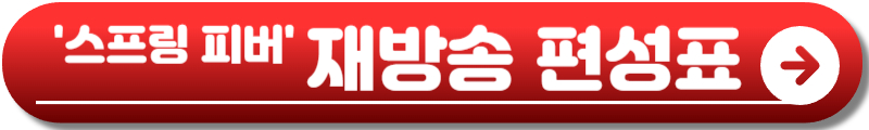 스프링 피버