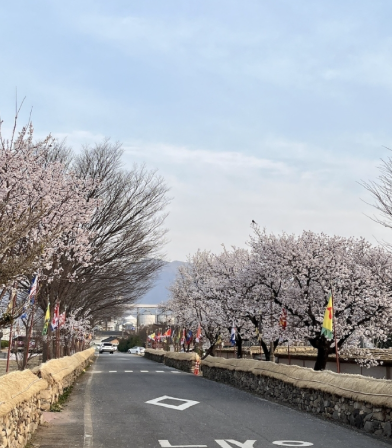 순천 가볼만한곳 베스트10