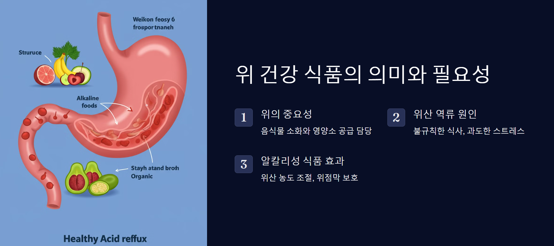 위 건강 식품의 의미와 필요성