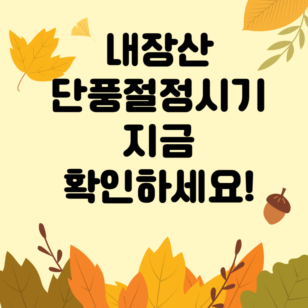 내장산 단풍절정시기