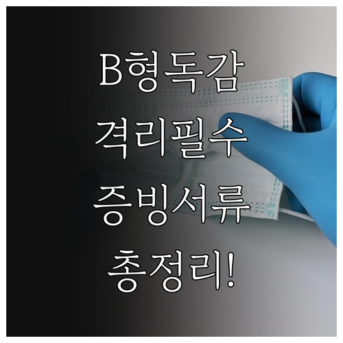 B형 독감 격리 기간 증빙을 위한 추..