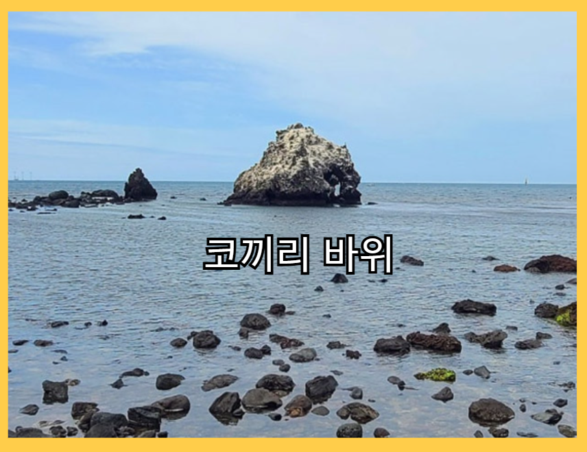 비양도_배시간표_인증샷명소