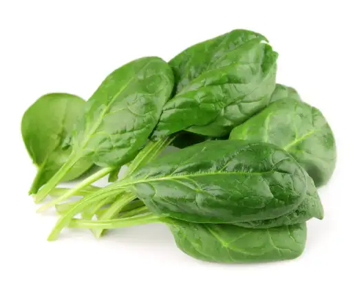 글루타치온 효능과 효과, 많이 들어있는 음식