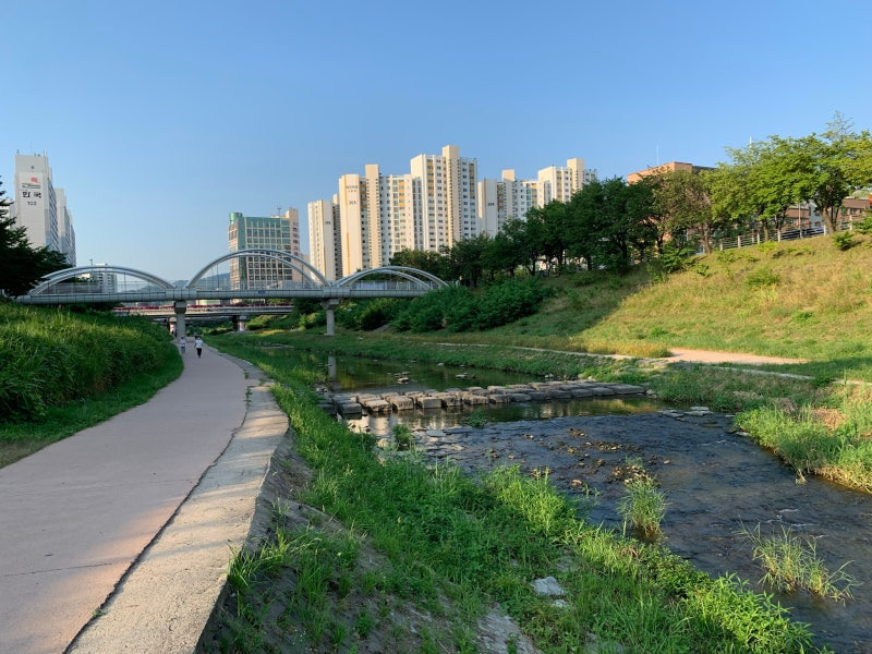 하남 반려견 겨울 나들이 명소, 강아지와 함께 산책하기 좋은 곳 추천