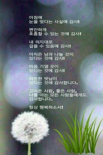 봄비 인사말 이미지 비오는날 일러스트_18