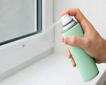 날파리 없애는 방법18