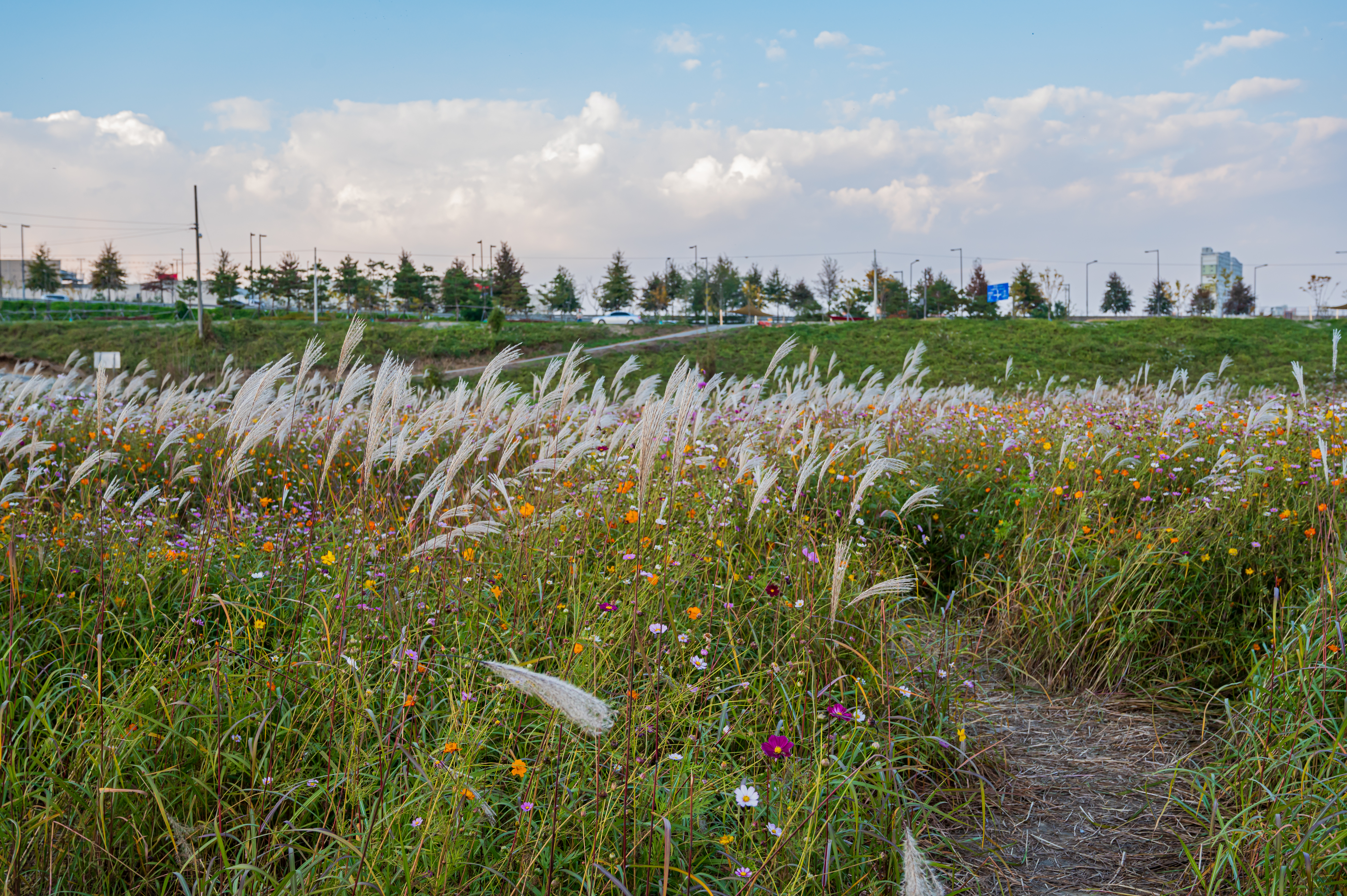 ์ฝ์ค๋ชจ์ค ๋ง๊ฐ '์ธ์ข
์ฒ๋ฐ๊ทผ๋ฆฐ๊ณต์'