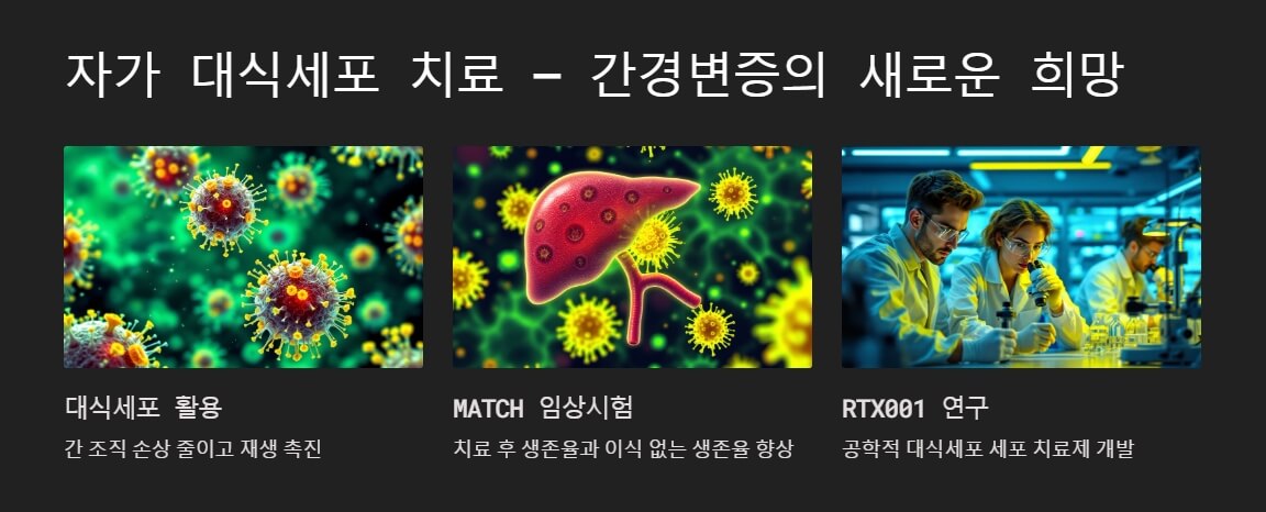 자가 대식세포 치료를 활용해 간 조직 재생을 촉진하는 연구와 치료 과정을 강조한 이미지