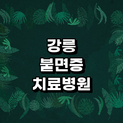 강릉시 불면증