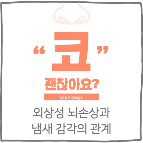 외상성 뇌손상과 냄새 감각의 관계