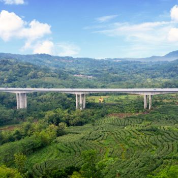 제3연륙교 통행료 면제